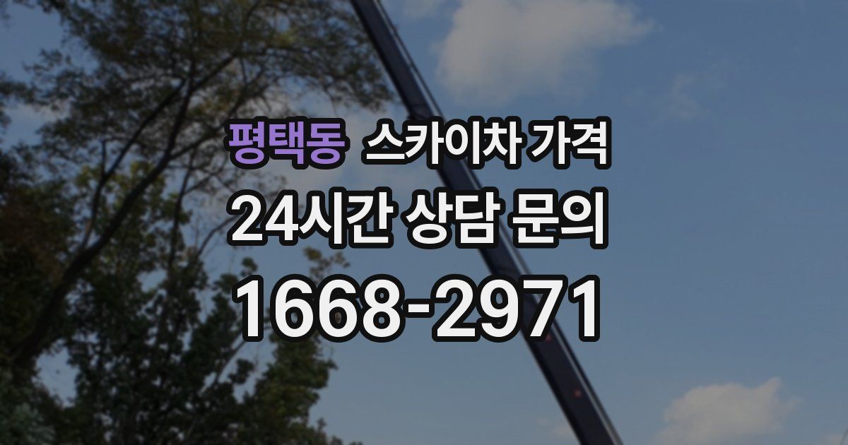 평택동 스카이차 가격