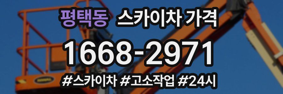 평택동 스카이차 가격