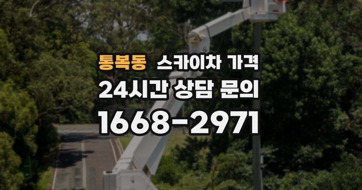 통복동 스카이차 가격