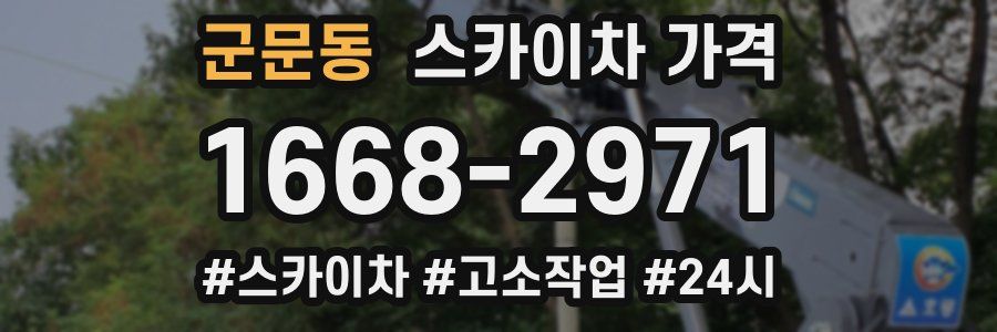 군문동 스카이차 가격