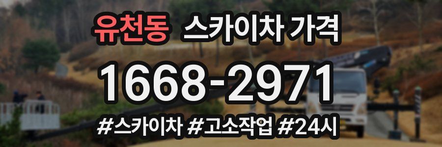 유천동 스카이차 가격