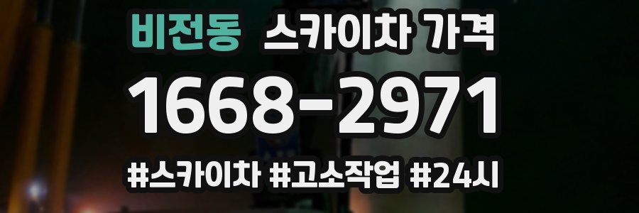 비전동 스카이차 가격