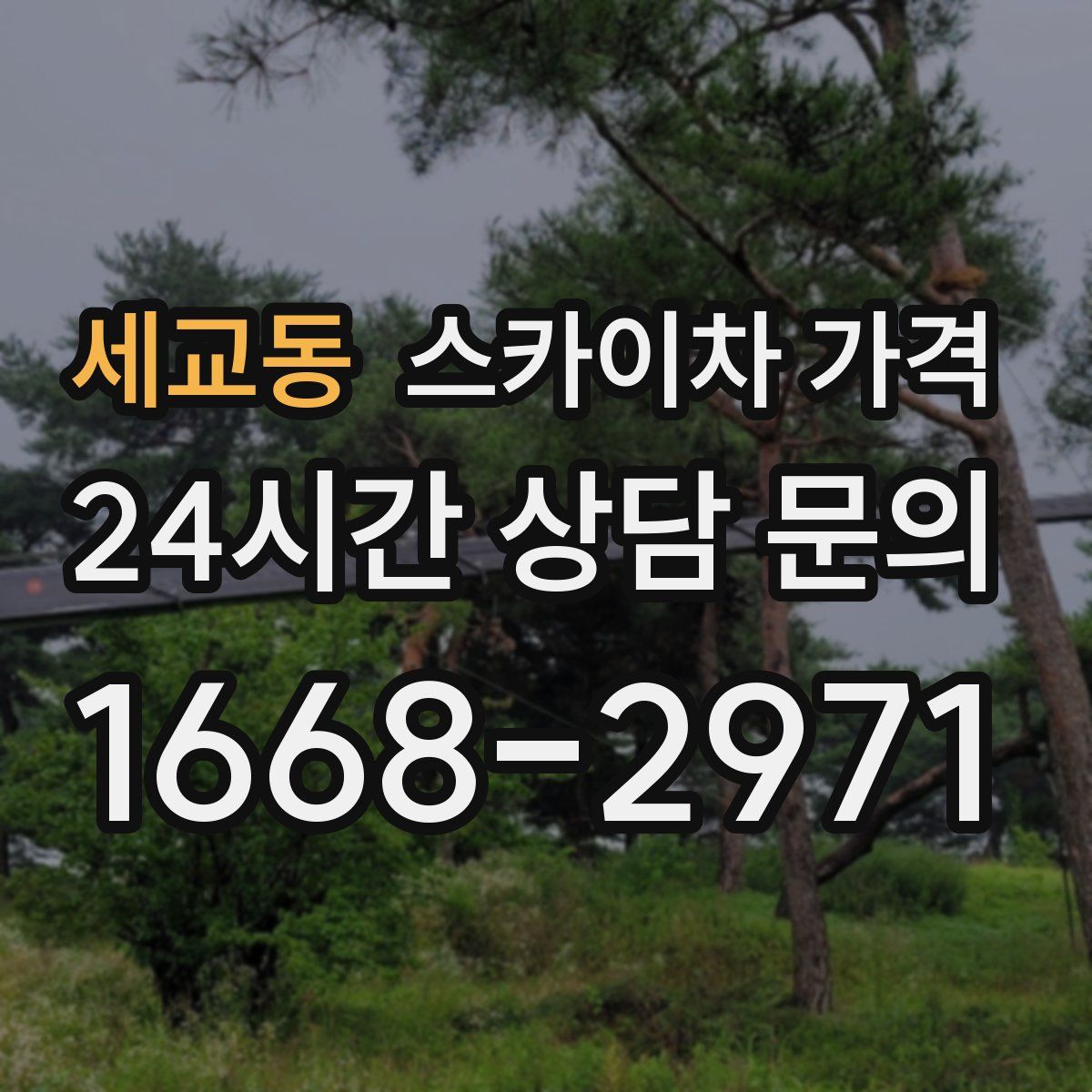 세교동 스카이차 가격