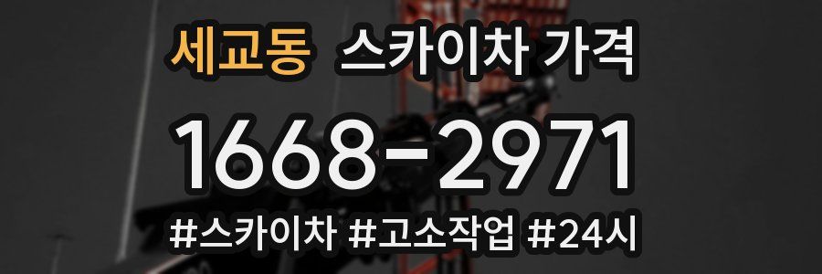 세교동 스카이차 가격