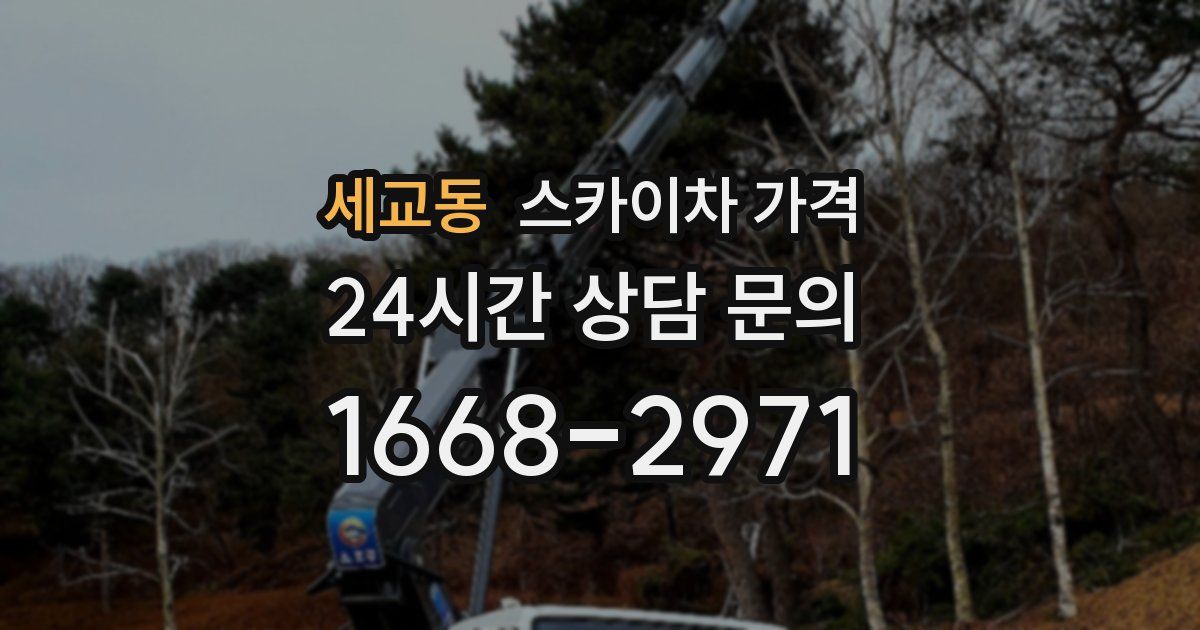 세교동 스카이차 가격