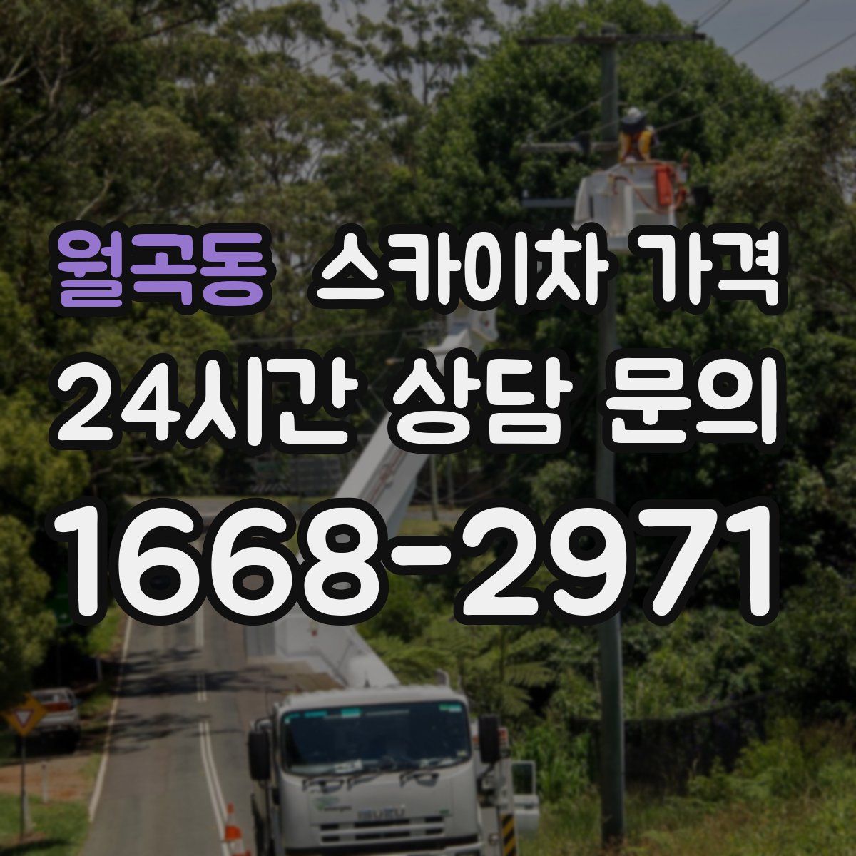 월곡동 스카이차 가격