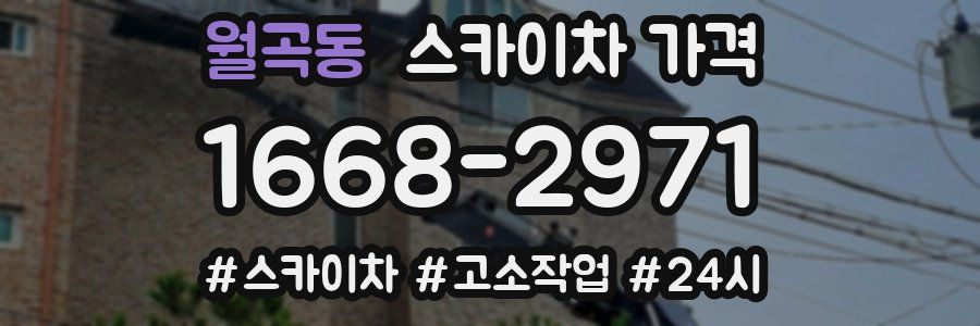 월곡동 스카이차 가격