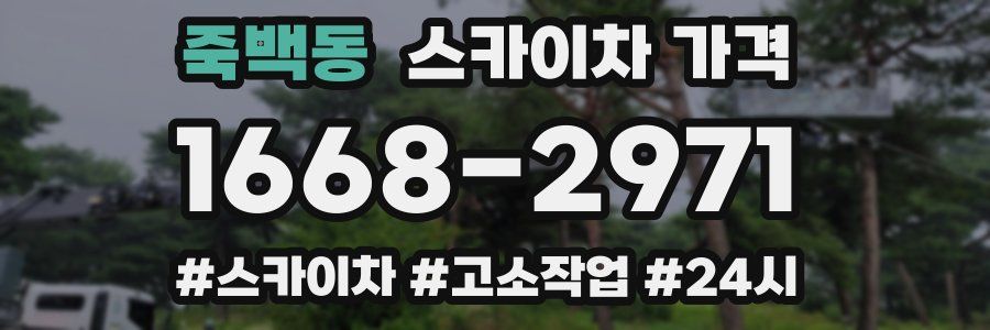 죽백동 스카이차 가격