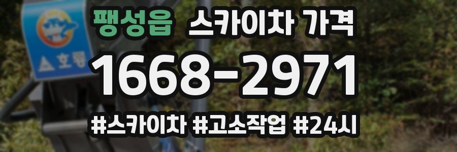 팽성읍 스카이차 가격