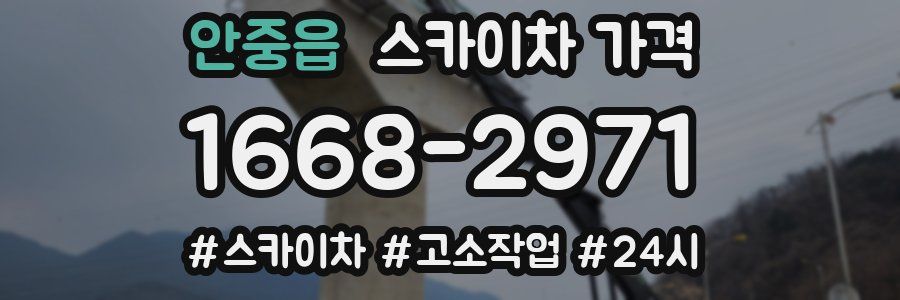 안중읍 스카이차 가격