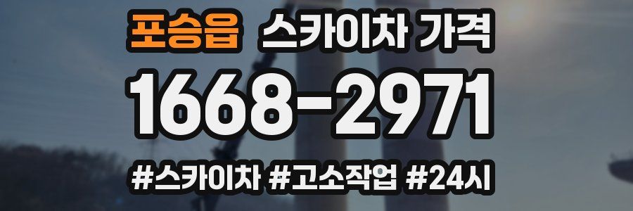 포승읍 스카이차 가격