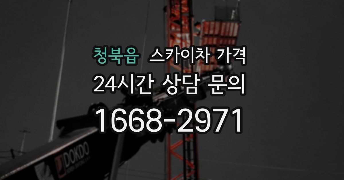 청북읍 스카이차 가격