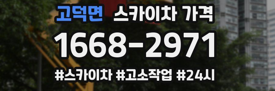 고덕면 스카이차 가격