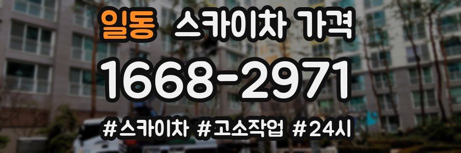 일동 스카이차 가격