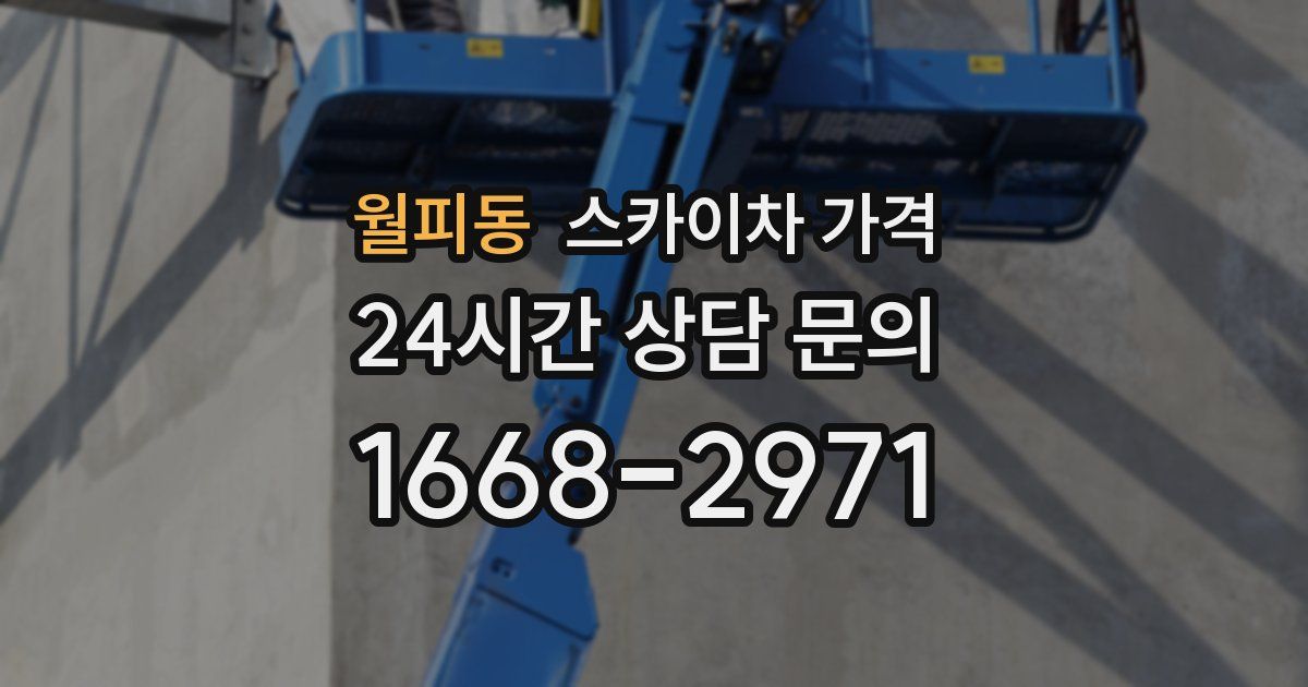 월피동 스카이차 가격