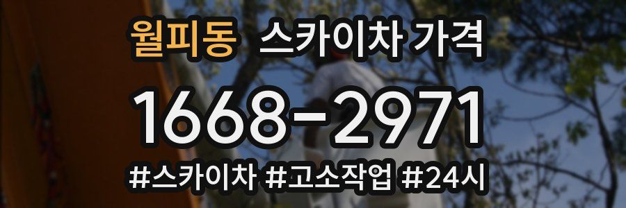 월피동 스카이차 가격