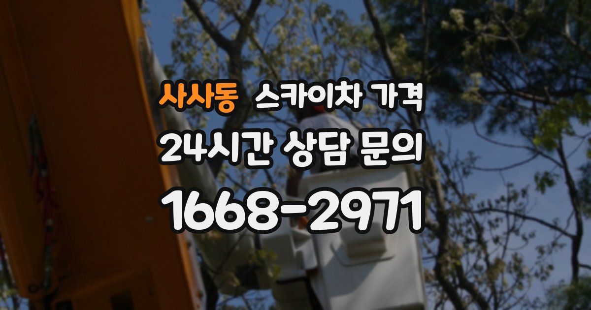 사사동 스카이차 가격