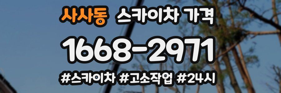 사사동 스카이차 가격