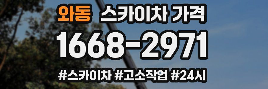 와동 스카이차 가격