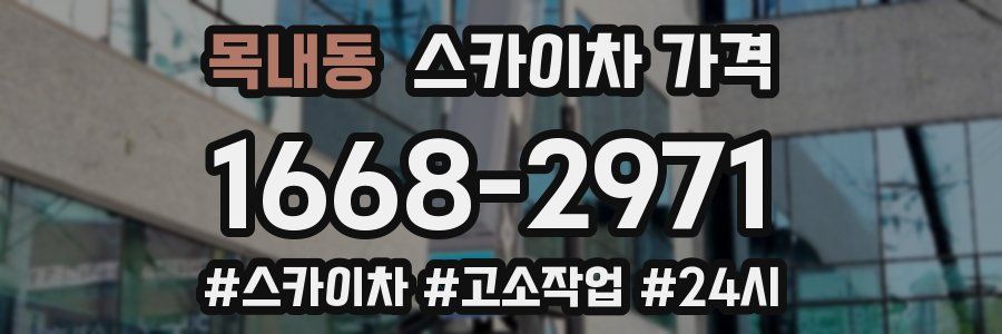 목내동 스카이차 가격