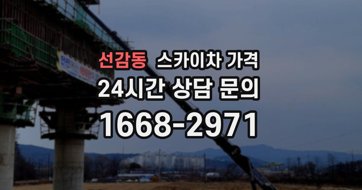 선감동 스카이차 가격