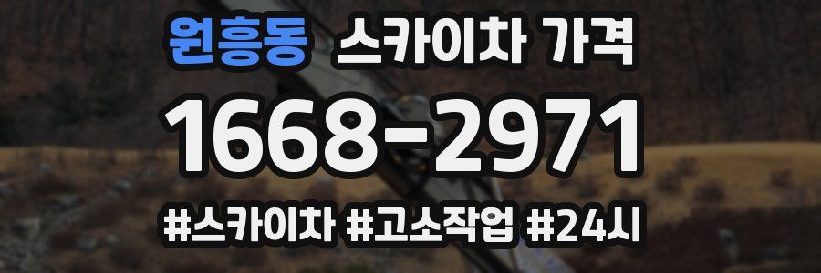 원흥동 스카이차 가격