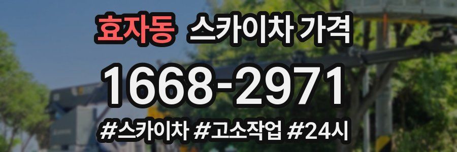 효자동 스카이차 가격