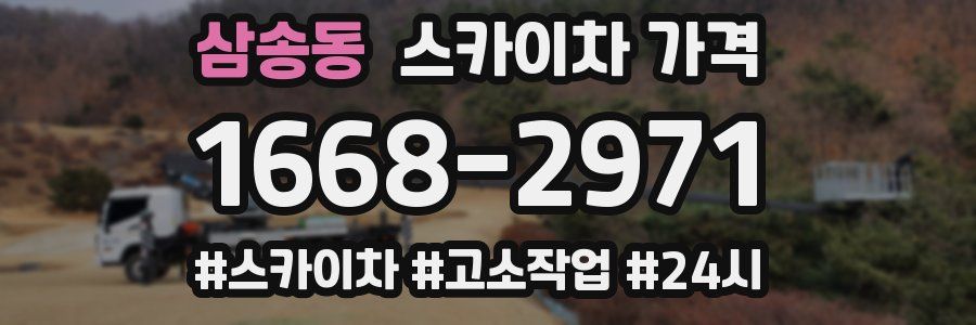 삼송동 스카이차 가격