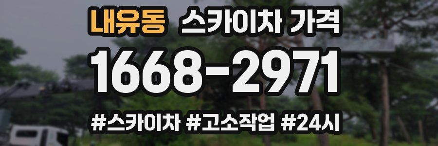 내유동 스카이차 가격