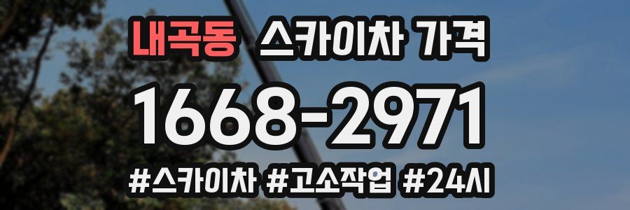 내곡동 스카이차 가격