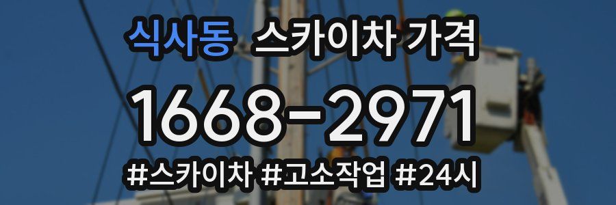 식사동 스카이차 가격