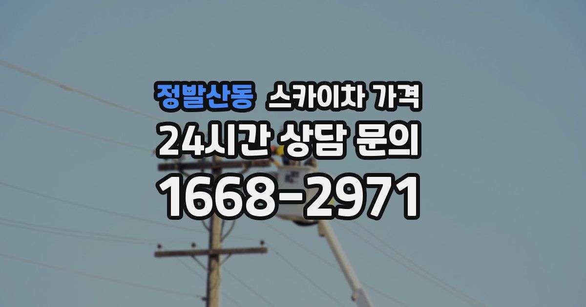 정발산동 스카이차 가격