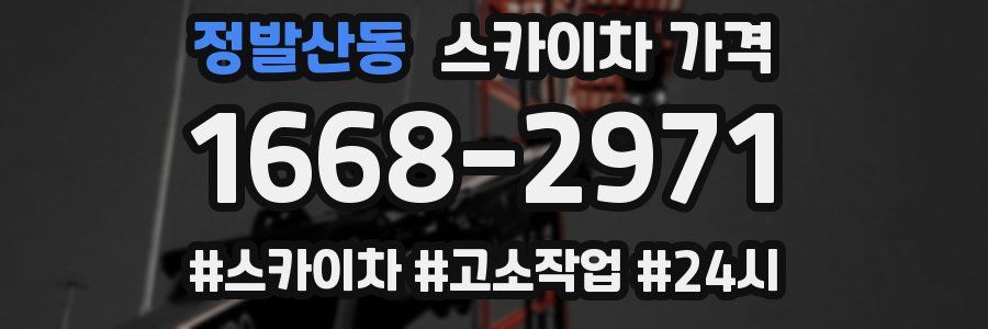 정발산동 스카이차 가격