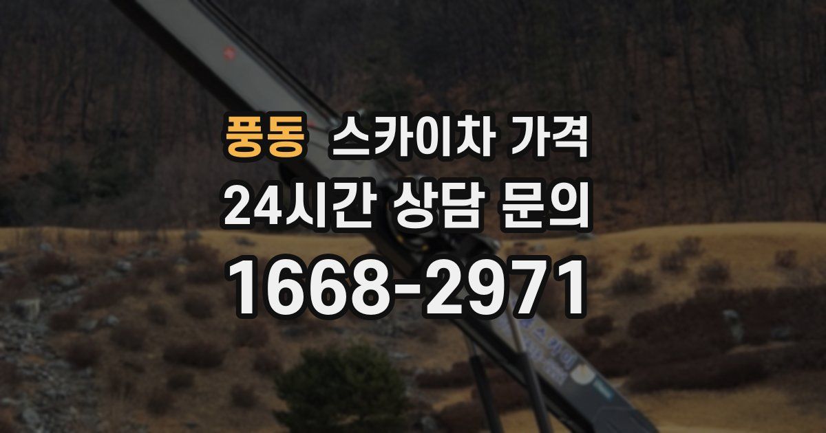 풍동 스카이차 가격