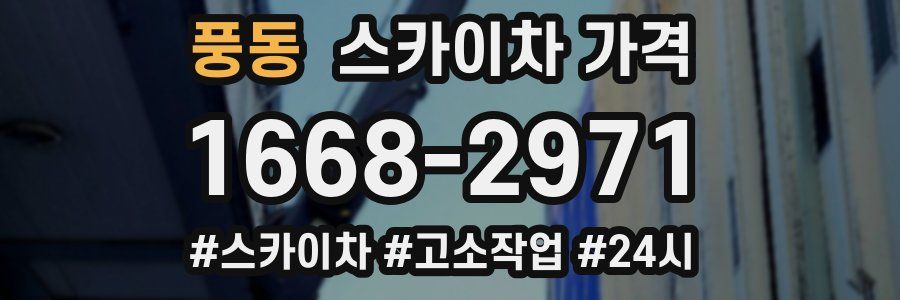 풍동 스카이차 가격