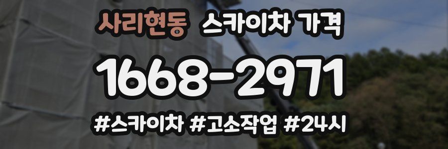 사리현동 스카이차 가격