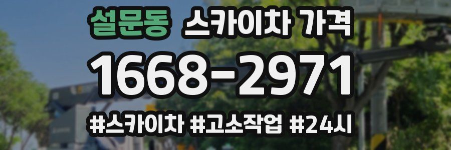 설문동 스카이차 가격