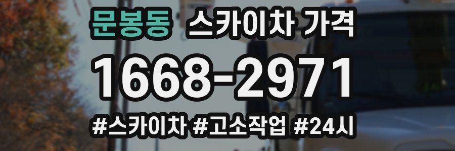 문봉동 스카이차 가격