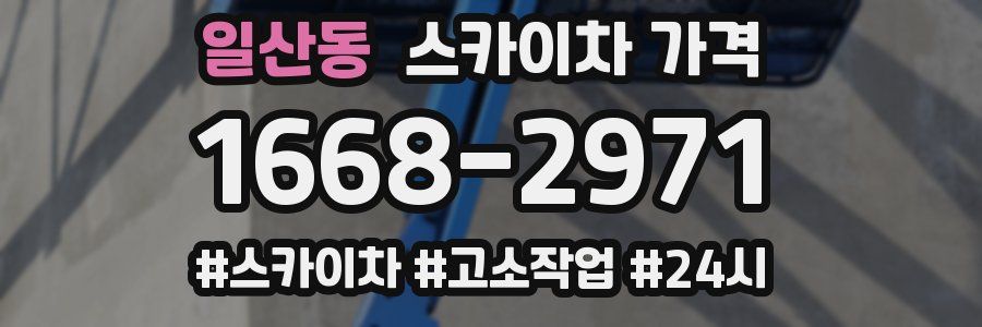 일산동 스카이차 가격