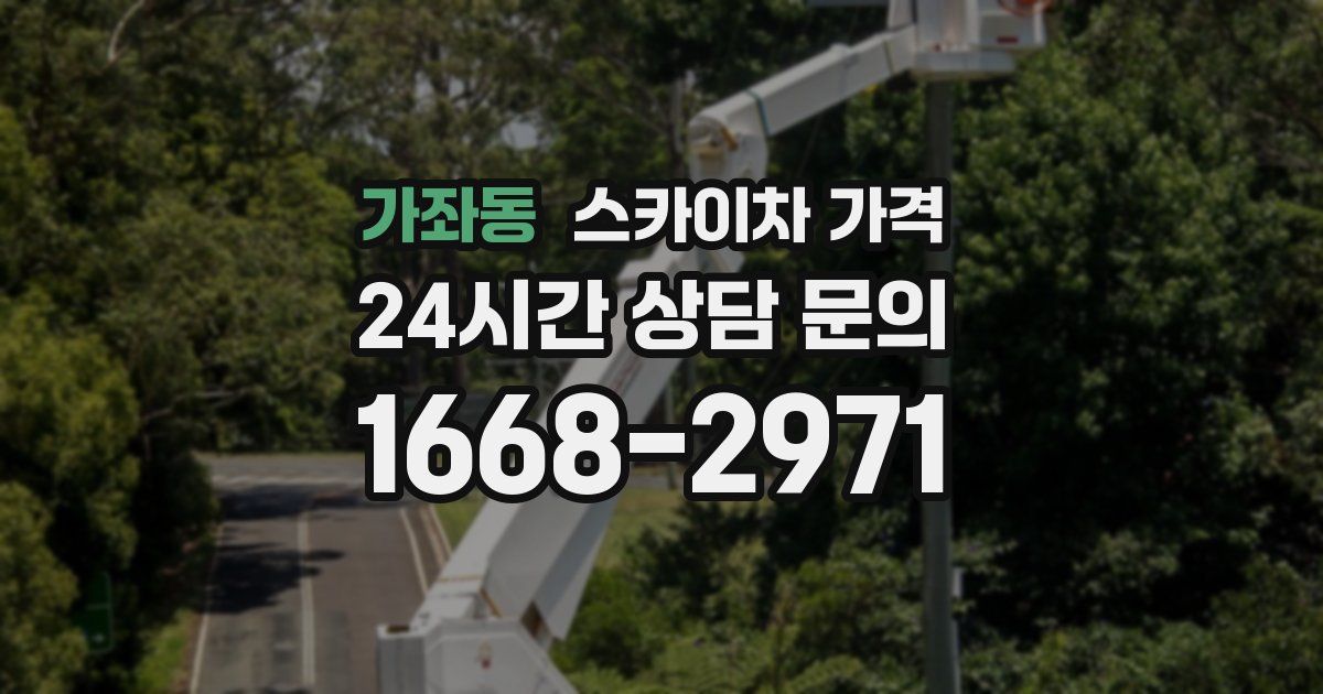 가좌동 스카이차 가격