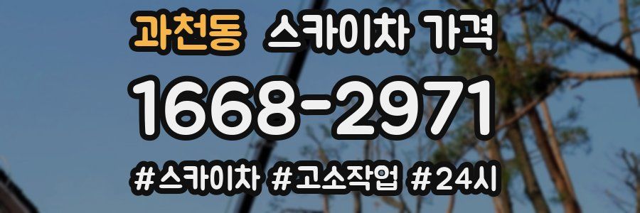 과천동 스카이차 가격