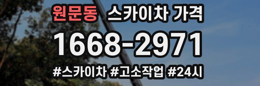 원문동 스카이차 가격