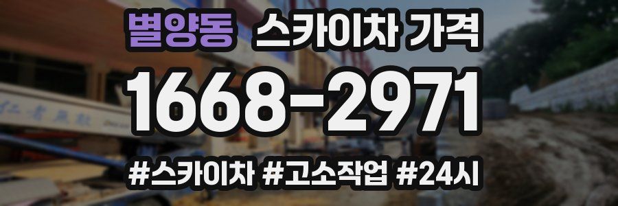 별양동 스카이차 가격