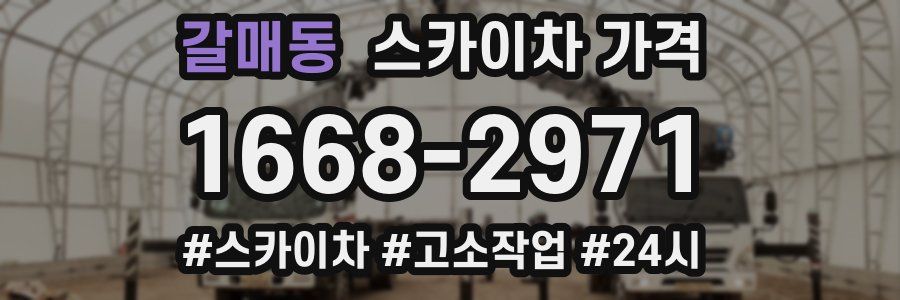 갈매동 스카이차 가격