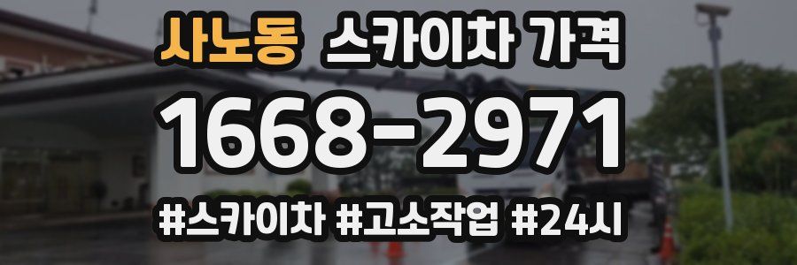 사노동 스카이차 가격