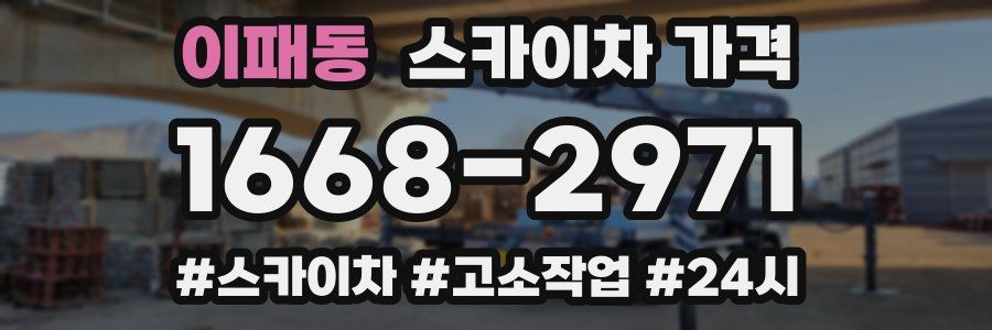 이패동 스카이차 가격