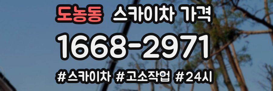 도농동 스카이차 가격