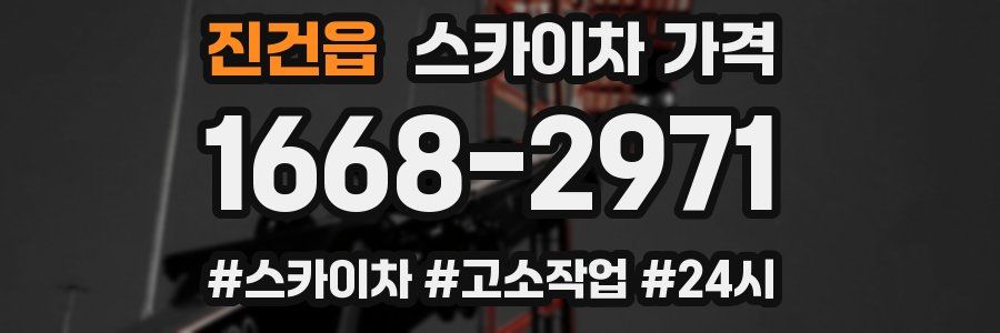 진건읍 스카이차 가격