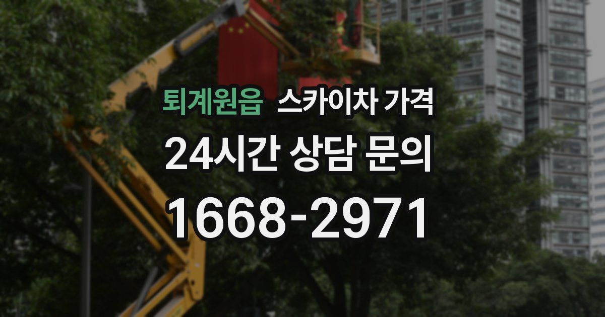 퇴계원읍 스카이차 가격