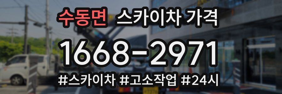 수동면 스카이차 가격